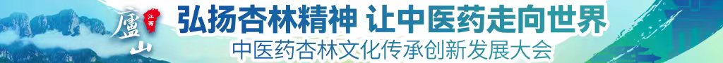 大屌插两少妇内射中医药杏林文化传承创新发展大会